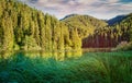 Landscape lake.The lake in the forest. High-rise forest lake. water in a forest lake with pine trees.