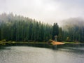 landscape with lake among forest in morning mist Royalty Free Stock Photo