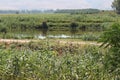 Landscape of Lake Hula, Israel