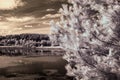 Landscape with lake infrared Royalty Free Stock Photo