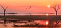 Landscape of Lake Kariba with a bright orange sunset sky with egyptian geese and a silhouette of a heron, Zimbabwe