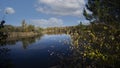 landscape lake in lagunas de las madres arganda del rey