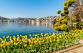 Landscape with Lake Lugano and colorful tulips in bloom from Ciani Park in springtime. Royalty Free Stock Photo