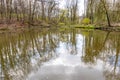 Landscape of a lake with mirror reflection on water surface of surrounding bare trees Royalty Free Stock Photo