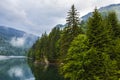 Lake and misty forest in mountains in a rainy day Royalty Free Stock Photo