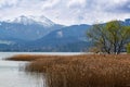 Landscape at the lake tegernsee and snowy blue mountains in the Royalty Free Stock Photo