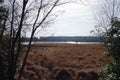 Landscape at the Kalmthoutse Heide