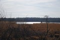 Landscape at the Kalmthoutse Heide