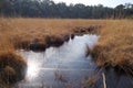 Landscape at the Kalmthoutse Heide