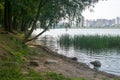 landscape on the lake with trees and reeds, stones and city views