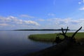 Landscape with a lake, white clouds on a blue sky and a fallen tree Royalty Free Stock Photo