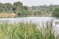 Landscape of lakeside, green grass, and trees in Nehru Zoological Park, Hyderabad, India