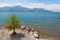 Landscape. Lakeside and snowy mountains at the sunny day