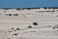 Landscape of the Lancelin Sand Dunes: Western Australia