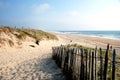 Landscape in Landes region