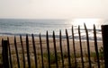 Landscape in Landes