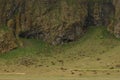 Landscape of Landmannalaugar National Park in Iceland