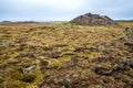 Iceland Landmannalaugar landscape with orange moss and lava volcano hills Royalty Free Stock Photo