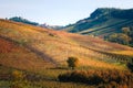 Landscape of langhe vineyards hills. Autumn landscape beautiful colors. Italy