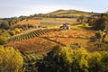 Landscape of langhe vineyards hills. Autumn landscape beautiful colors. Viticulture Piedmont, Italy, Europe.