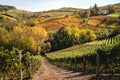 Landscape of langhe vineyards hills. Autumn landscape beautiful colors. Viticulture Piedmont, Italy, Europe.