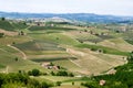 Landscape Langhe hills vineyards. Viticulture near Barolo, Piedmont, Italy, Unesco heritage. Barolo, Nebbiolo, Royalty Free Stock Photo