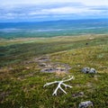 Landscape in lapland with an antlers north of the arctic circle with an- an neverending - A vast landscape with wet lands