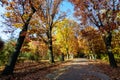 Landscape with large green trees and long walking alley in Herastrau Park in Bucharest, Romania, in a sunny autumn day Royalty Free Stock Photo