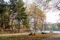 Landscape with large green trees with yellow and orange colored leaves and long walking alley in King Michael I Park (former