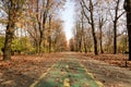 Landscape with large green trees with yellow and orange colored leaves and long walking alley in King Michael I Park (former Royalty Free Stock Photo