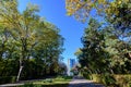 Landscape with large green and yellow trees and long walking alley in Herastrau Park in Bucharest, Romania, in a sunny autumn day