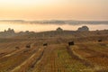 Landscape of a large mown agricultural wheat field with bales of straw lying on the ground at sunrise. Morning misty country Royalty Free Stock Photo