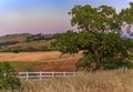 Landscape at a vineyard in the spring in Napa Valley, California, USA Royalty Free Stock Photo