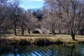 Landscape with large old trees near the lake in Tineretului Park (Parcul Tineretului) in Bucharest Royalty Free Stock Photo