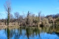 Large old trees near the lake in Tineretului Park (Parcul Tineretului) in Bucharest, Romania, in a sunny winter day Royalty Free Stock Photo