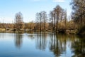 Large old trees near the lake in Tineretului Park (Parcul Tineretului) in Bucharest, Romania, in a sunny winter day Royalty Free Stock Photo