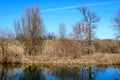 Large old trees near the lake in Tineretului Park (Parcul Tineretului) in Bucharest, Romania, in a sunny winter day Royalty Free Stock Photo