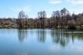 Large old trees near the lake in Tineretului Park (Parcul Tineretului) in Bucharest, Romania, in a sunny winter day Royalty Free Stock Photo