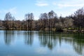 Large old trees near the lake in Tineretului Park (Parcul Tineretului) in Bucharest, Romania, in a sunny winter day Royalty Free Stock Photo