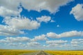 Landscape with the large sky with clouds and rod in the middle of the yellow fields Royalty Free Stock Photo