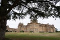 Landscape with large tree of Blenheim Palace, Woodstock, UK