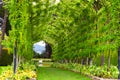 Landscape Larnach Castle New Zealand Royalty Free Stock Photo