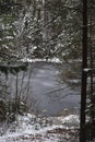 The forest lake in the late autumn. Royalty Free Stock Photo