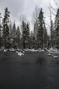 The forest lake in the late autumn. Royalty Free Stock Photo