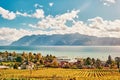 landscape of Lavaux vineyards and lake Geneva, Pully, Switzerland