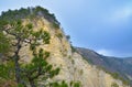 Landscape with layered cliff and pine trees Royalty Free Stock Photo