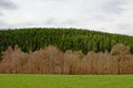 Landscape in layers: meadow and bare deciduous winter forest with hill with pine forest behind under a cloudy sky Royalty Free Stock Photo