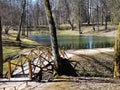 Landscape of leafless forest and pond in early spring on a sunny day Royalty Free Stock Photo