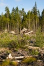 Landscape left Scarred after Logging Clear Cut Royalty Free Stock Photo