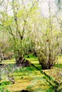 The landscape of lettuce park and Hillsborough river